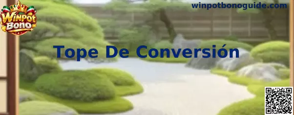 Información sobre Tope De Conversión en Winpot Bono