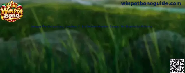 Guía de juegos participantes, límites y depósito mínimo de Winpot Bono